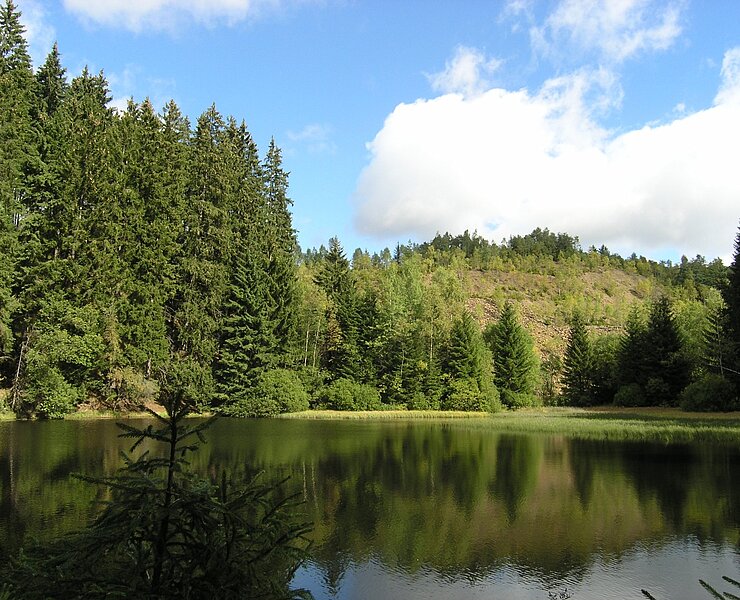 Bergbaulandschaft Eliastal - Heinzeteich (WFE GmbH Annaberg-Buchholz)