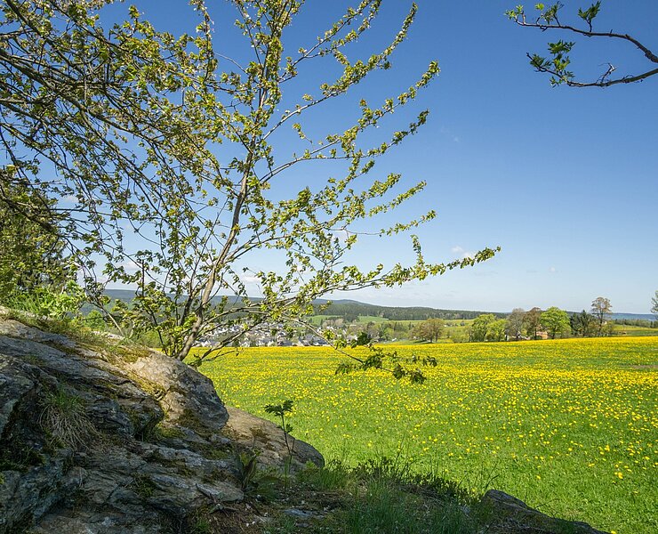 Blick vom Pasterle Felsen (Tobias Rudelt)