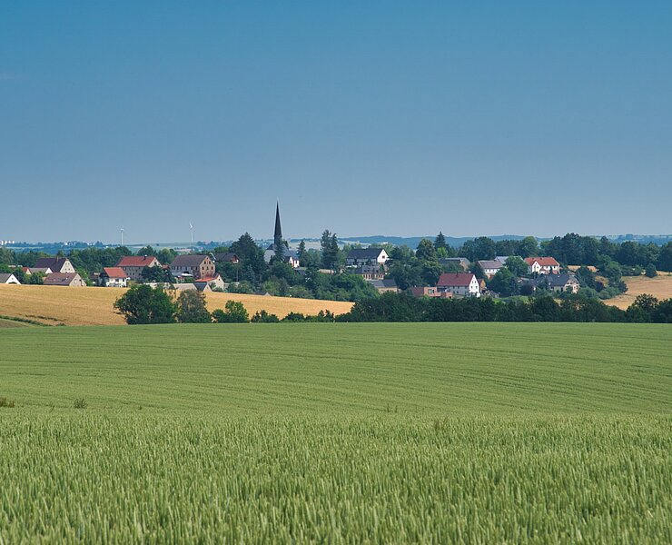 Kugelbaum Lunzenau - Göhren (Bastian Rakow)