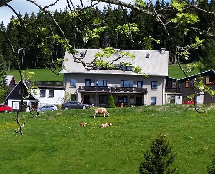Haus und Umgebung ()