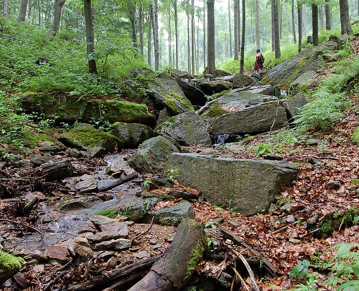 Dörfelbachtal (Matthias Drechsel)