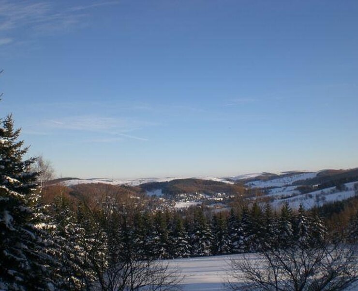 Blick vom Ferienhaus im Winter ()