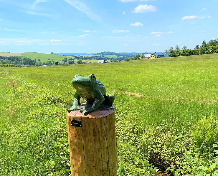 BLOCKLINE - Motivmeilenstein "Frosch" (Tourismusverband Erzgebirge e.V. )