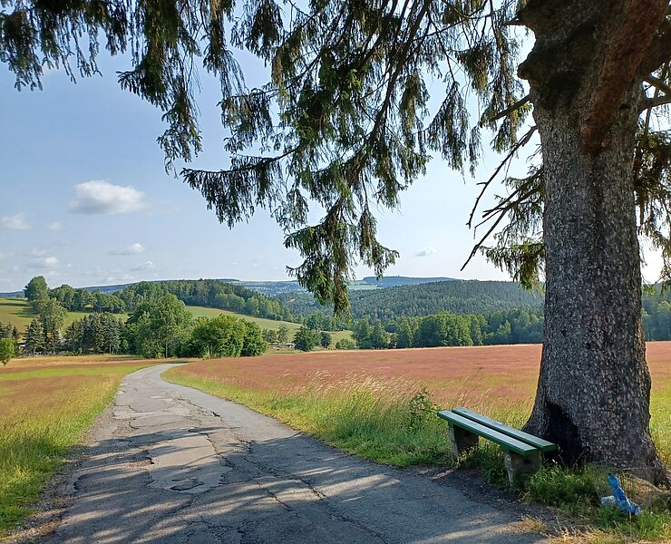 Lauterer Wappenbaum (Wanderbarer Silberberg PM)