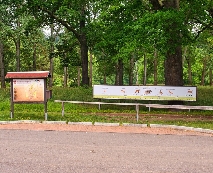 Walderlebnispfad Wechselburg - Station 1 (Bastian Rakow)