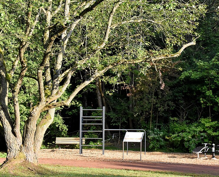 Park Morgenleite (Franziska Wöllner)